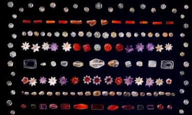 Sotheby’s Auction of Sacred Buddhist Relics Halted