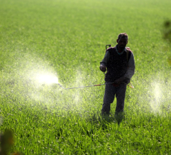 India Fertiliser Security Amid Middle East Geopolitical Risks