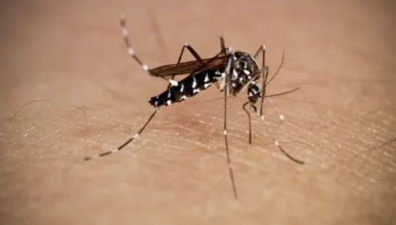 AI-Powered Mosquito Control in Andhra Pradesh