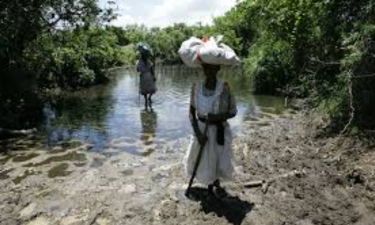 Africa’s Wetlands Face Critical Degradation and Loss