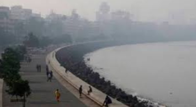 Urban Aerosol Pollution and Clean Islands in Indian Cities