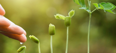 India’s Biostimulant Regulation and Market Growth