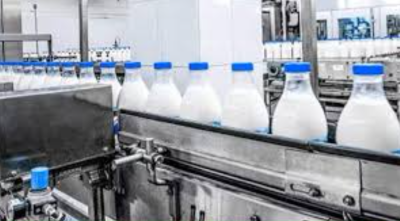 Assam Dairy Subsidy Boosts Milk Production and Processing