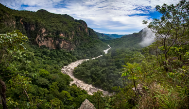 Afro-Descendant Lands Reduce Deforestation in Latin America