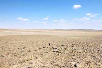 About Deserts and Open Ecosystems Importance