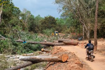Forest Land Diversion and Compensatory Afforestation Issues 2025