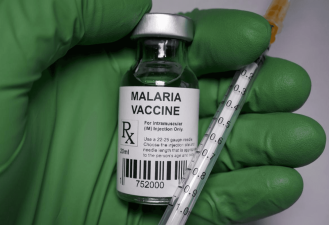 ICMR Develops Promising Malaria Vaccine Candidate AdFalciVax