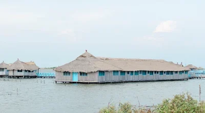 Mercury and Arsenic Contamination in Ghana’s Keta Lagoon Fish