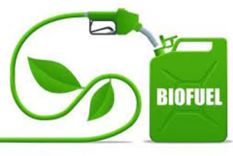 Biofuels – Promise, Challenges and Global Policy Trends