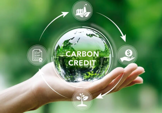 Carbon Credits – Challenges and Opportunities in Climate Action