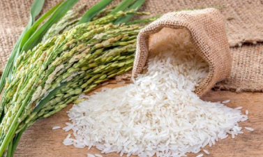 India’s Geographical Indications Boost Rice Varieties
