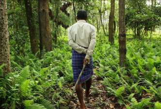 Forest Rights Act 2006 – Community Forest Resource Management