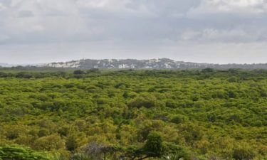 Climate Crisis and Forest Rights Misuse in India