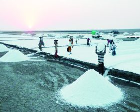 Climate Vulnerability of Gujarat’s Salt Harvesting Communities