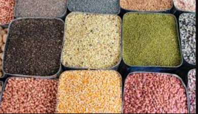 Strategies for Boosting India’s Pulse Production Growth
