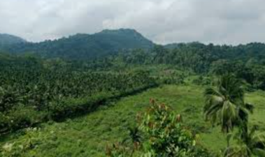 Great Nicobar Mega Project Threatens Tribes, Ecology