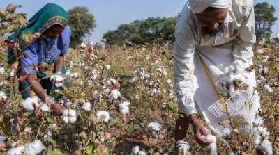 India’s Cotton Trade and Textile Industry Challenges 2025