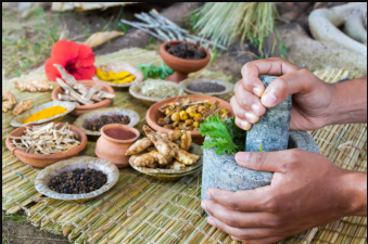 Global Rise of Traditional Medicine and Ayurveda