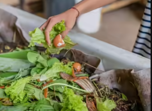 India’s Food Loss Crisis and Climate Impact