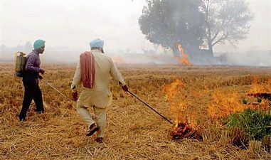 Supreme Court Considers Penalising Farmers For Stubble Burning