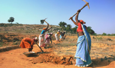 Female Labour Force Participation Trends in India 2025