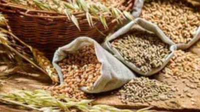 Wheat MSP Hike Sparks Economic Debate in India