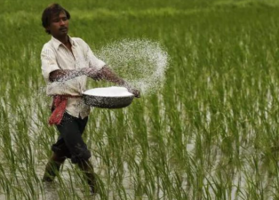 Urea Pricing and Fertilizer Use Challenges in India