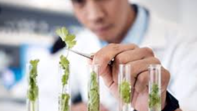 Challenges and Innovations in Global South Scientific Research