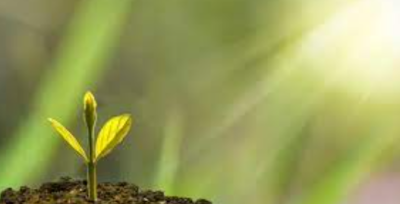 Global Climate Crisis and Political Challenges in 2025