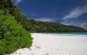 Great Nicobar Project and Rights of Nature Debate