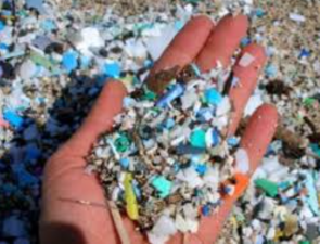 Microplastic Bioaccumulation Threatens Marine Life Goa