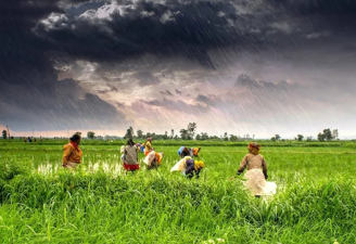 Climate Resilience and Food Security in South Asia