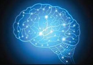 Dopamine Balance – Navigating Pleasure and Addiction in Modern Life