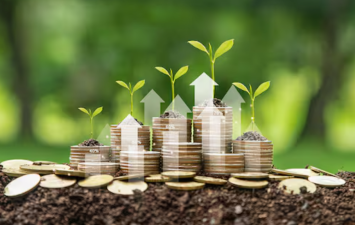 Carbon Markets and Sustainable Growth Challenges