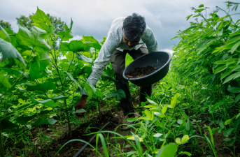 Natural Farming Boosts Sustainable Livelihoods in India