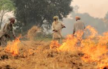 Paddy Stubble Burning Trends and Environmental Impact in Punjab