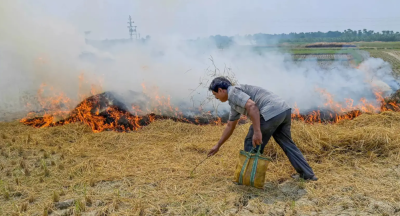 Strategies to End Stubble Burning in North India