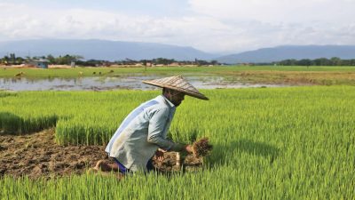 Regenerative Agriculture and Food Security Transformation