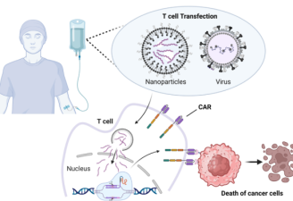 Subcutaneous Therapy Revolutionises HER2-Positive Breast Cancer Treatment