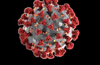 COVID-19 Pandemic – Lessons and Unlearned Realities