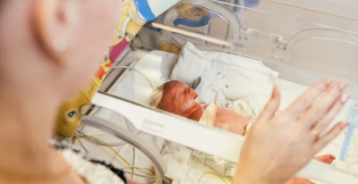 Early Rhythm Development in Preterm Infant Brains