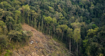 Green India Mission Revamped for Forest Restoration