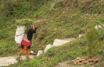 Women Empowerment and Climate Resilience in Himalayas
