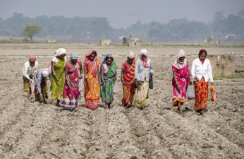 India’s New Seeds Bill 2025 – Regulatory Reform and Farmer Rights
