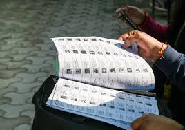 Politics of Voter Revision