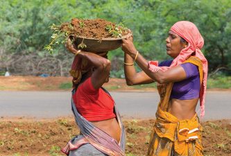 Rights, Work, and the New Rural Law