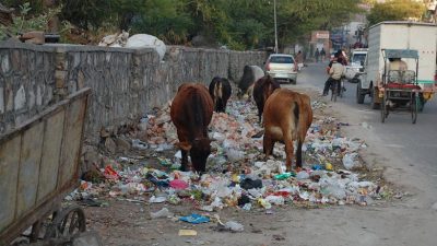 India’s Urban Waste Transformation: From Climate Liability to Circular Asset