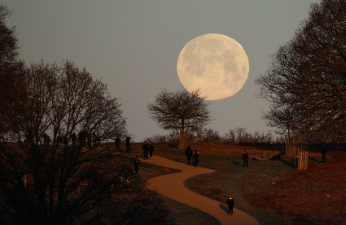 Wolf Supermoon and Its Meaning