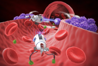 Magnetic Nanorobots in Cancer Care