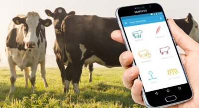Digital Backbone of India’s Dairy Sector